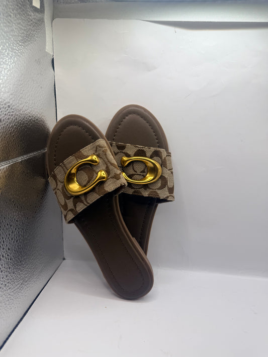 Brown Coach Slides