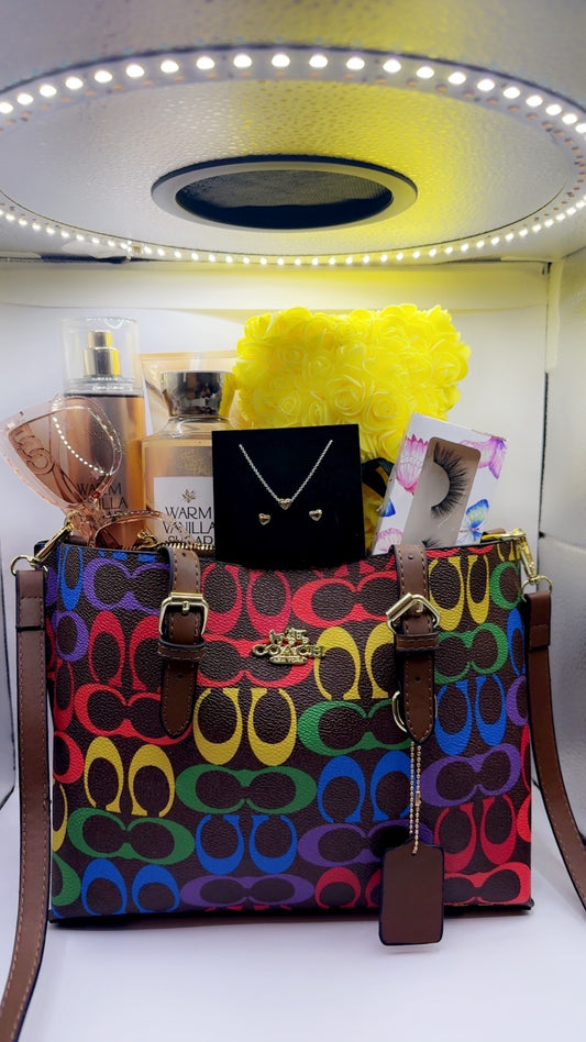 Coach Handbag Basket